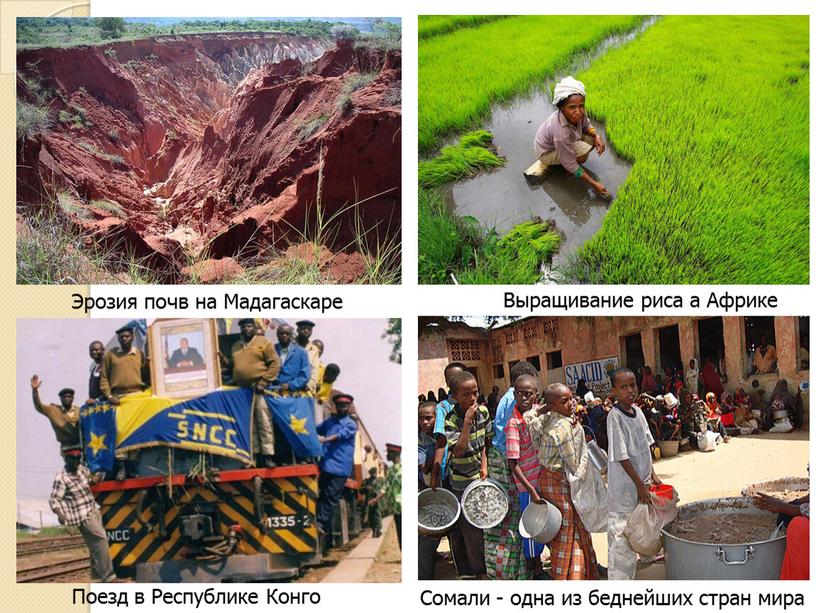Эрозия почв на Мадагаскаре Выращивание риса а