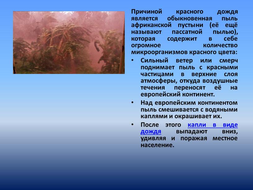 Причиной красного дождя является обыкновенная пыль африканской пустыни (её ещё называют пассатной пылью), которая содержит в себе огромное количество микроорганизмов красного цвета: