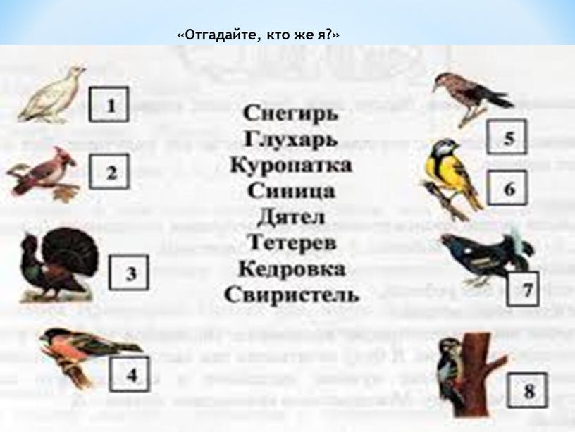 «Отгадайте, кто же я?»