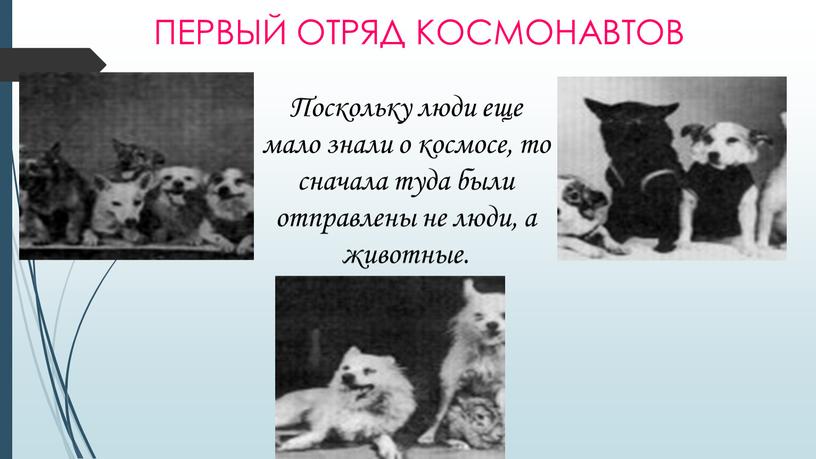 Первый отряд космонавтов Поскольку люди еще мало знали о космосе, то сначала туда были отправлены не люди, а животные