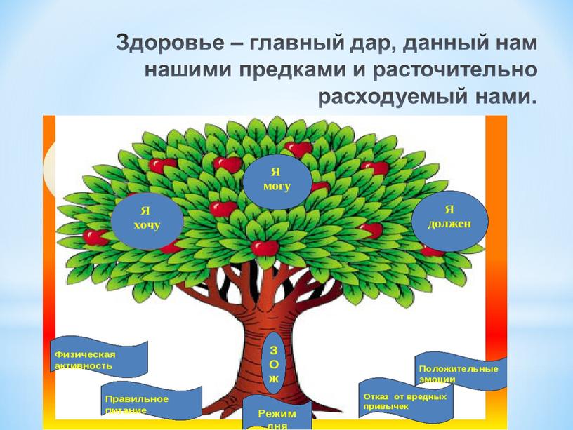 Здоровье – главный дар, данный нам нашими предками и расточительно расходуемый нами