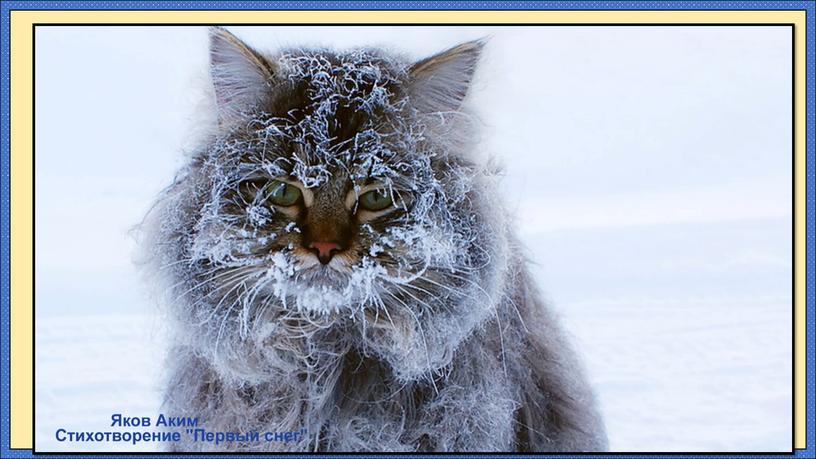 Я.Аким Утром кот. Ф.Тютчев Чародейкою зимой