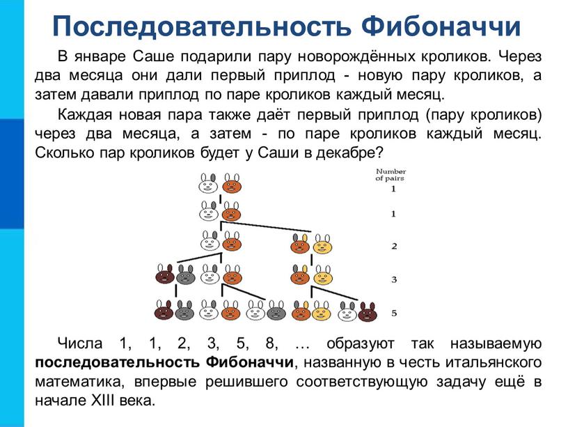Последовательность Фибоначчи В январе