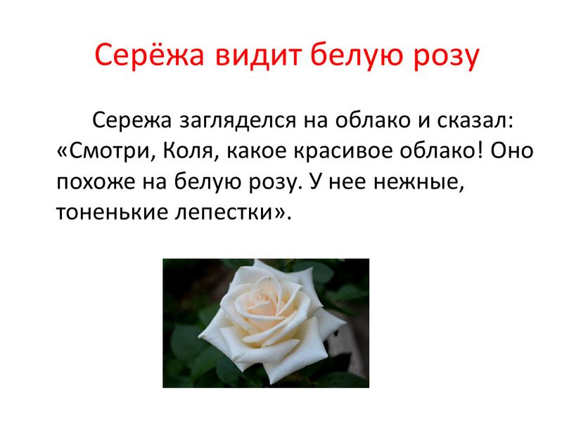 Серёжа видит белую розу Сережа загляделся на облако и сказал: «Смотри,