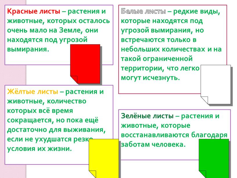 Красные листы – растения и животные, которых осталось очень мало на