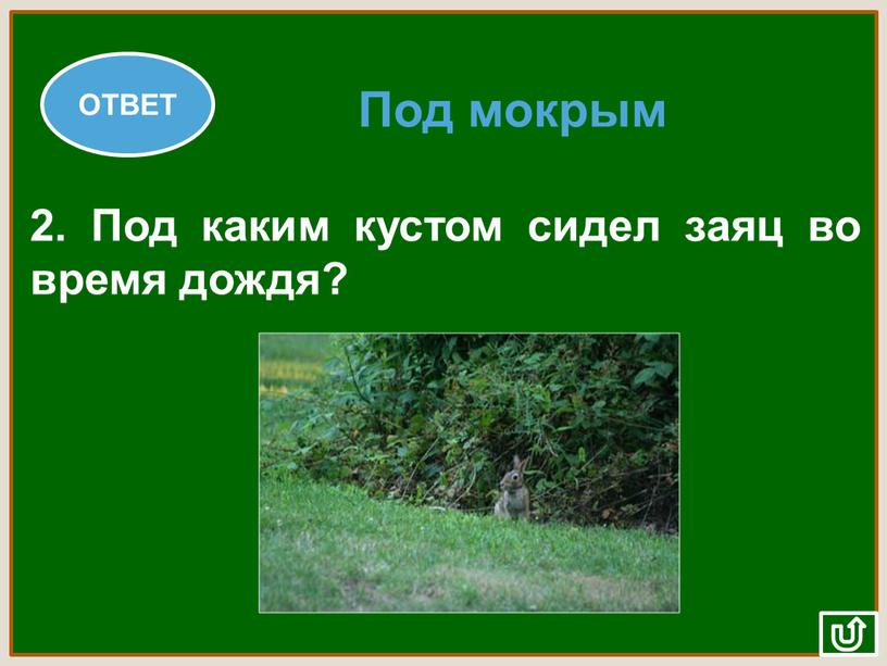 ОТВЕТ 2. Под каким кустом сидел заяц во время дождя?