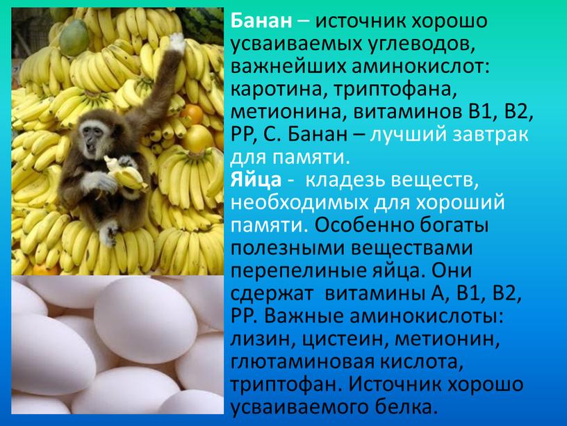 Банан – источник хорошо усваиваемых углеводов, важнейших аминокислот: каротина, триптофана, метионина, витаминов