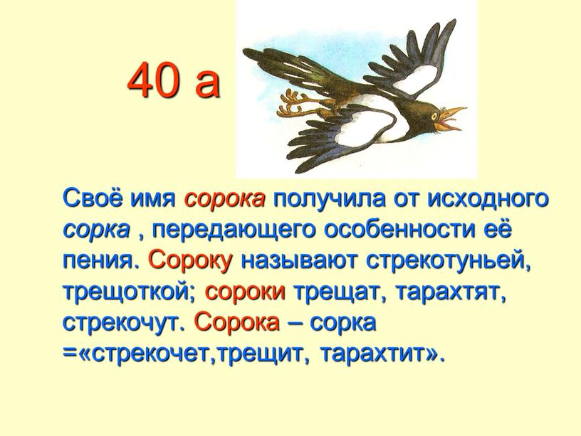 Своё имя сорока получила от исходного сорка , передающего особенности её пения