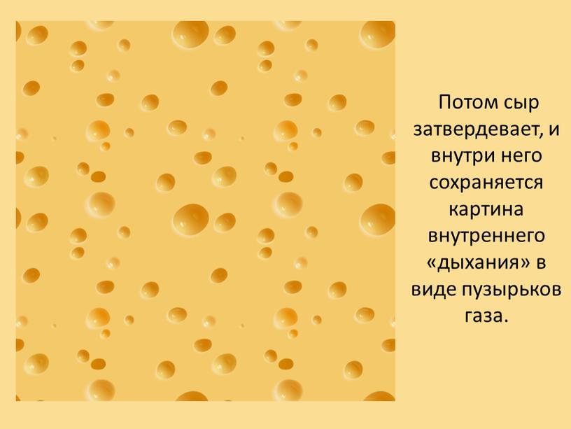 Потом сыр затвердевает, и внутри него сохраняется картина внутреннего «дыхания» в виде пузырьков газа