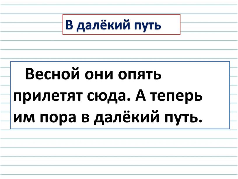 Весной они опять прилетят сюда