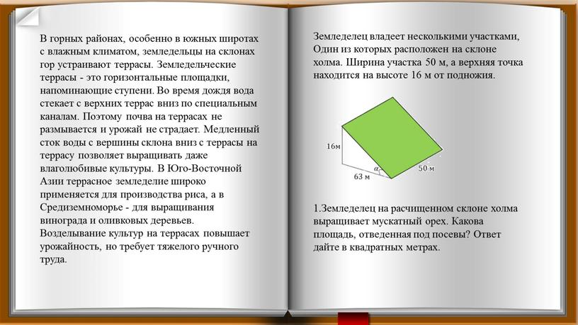 В горных районах, особенно в южных широтах с влажным климатом, земледельцы на склонах гор устраивают террасы