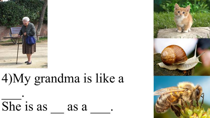 My grandma is like a ___. She is as __ as a ___