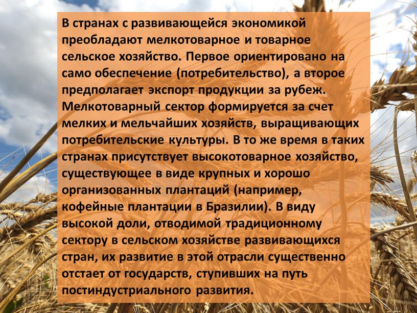 В странах с развивающейся экономикой преобладают мелкотоварное и товарное сельское хозяйство