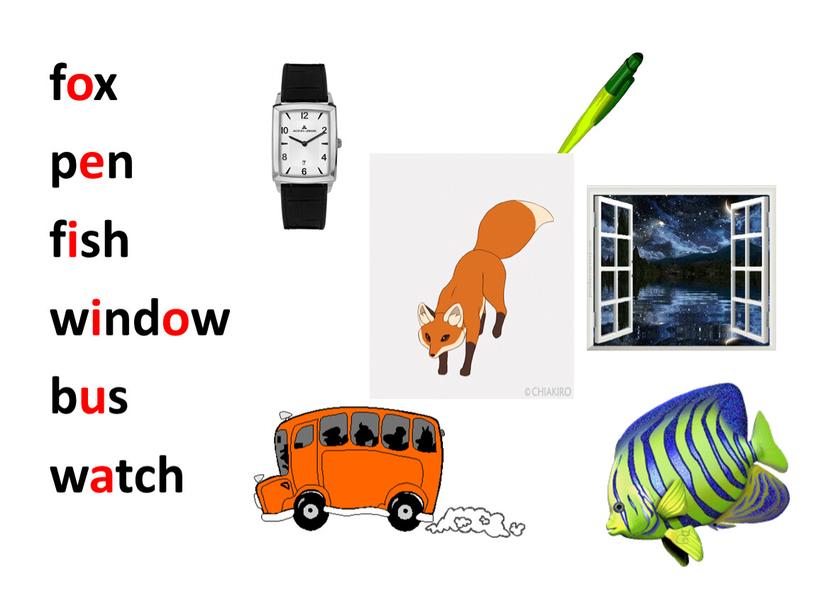 fox pen fish window bus watch