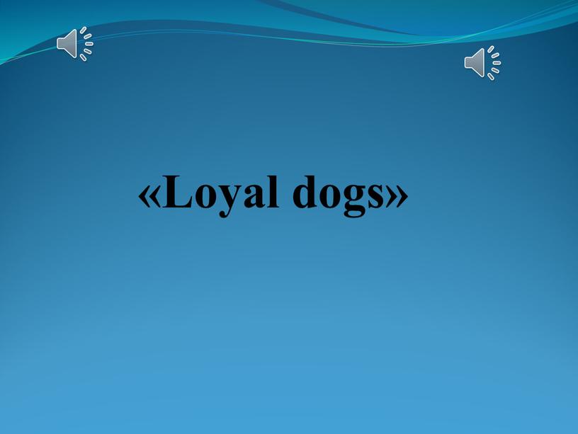 «Loyal dogs»