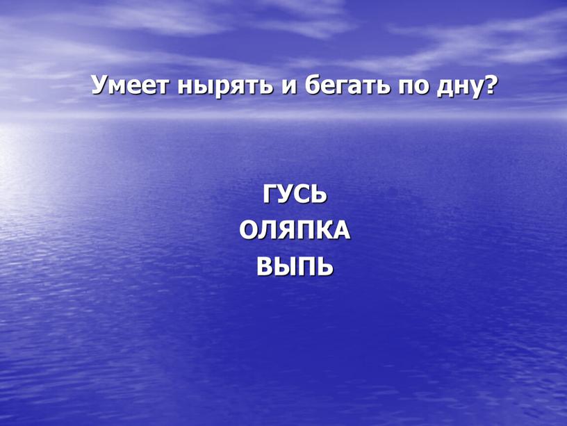 Умеет нырять и бегать по дну?