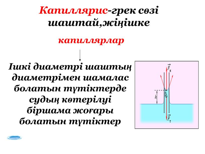 Капиллярис-грек сөзі шаштай,жіңішке