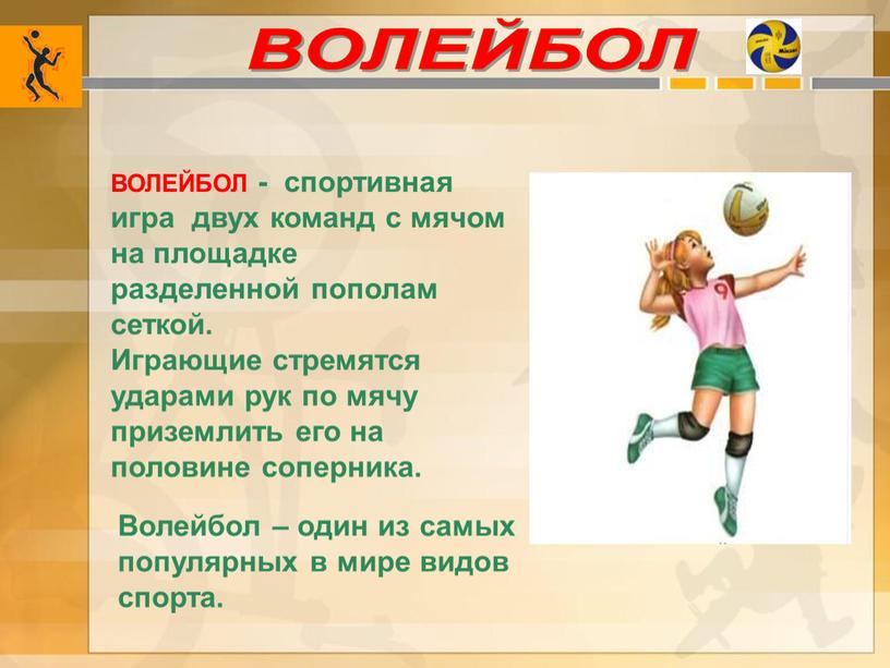 ВОЛЕЙБОЛ Волейбол – один из самых популярных в мире видов спорта