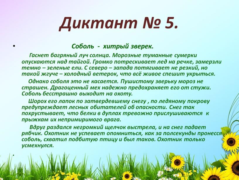 Диктант № 5. Соболь - хитрый зверек