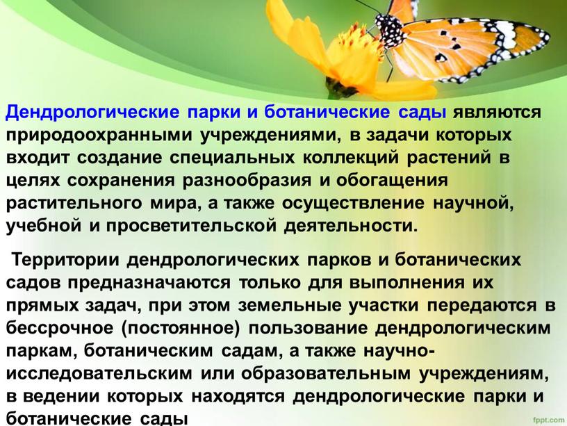 Дендрологические парки и ботанические сады являются природоохранными учреждениями, в задачи которых входит создание специальных коллекций растений в целях сохранения разнообразия и обогащения растительного мира, а…