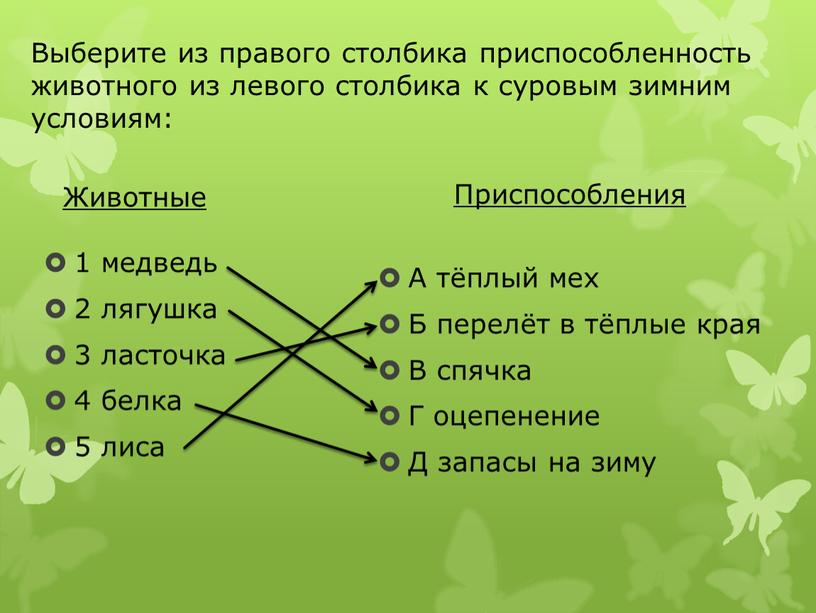 Выберите из правого столбика приспособленность животного из левого столбика к суровым зимним условиям: