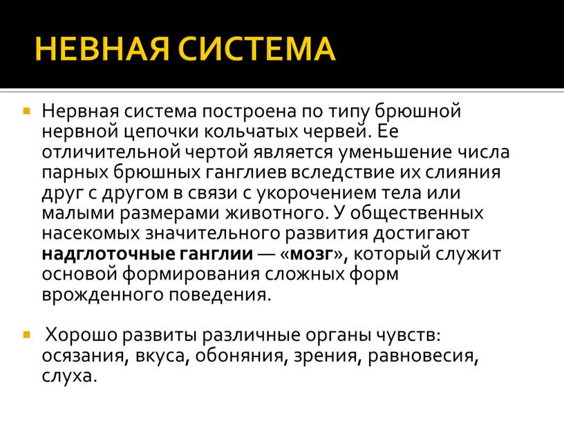 НЕВНАЯ СИСТЕМА Нервная система построена по типу брюшной нервной цепочки кольчатых червей