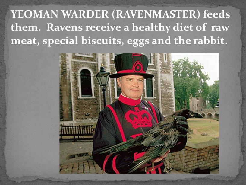 YEOMAN WARDER (RAVENMASTER) feeds them