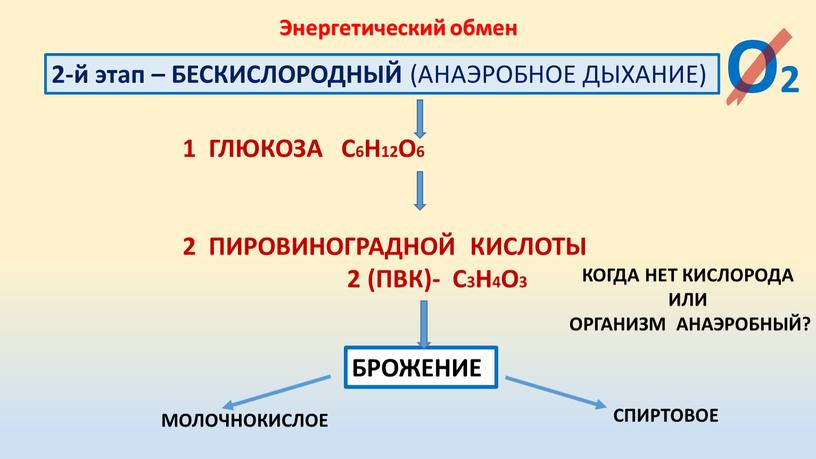 ГЛЮКОЗА С6Н12О6 2