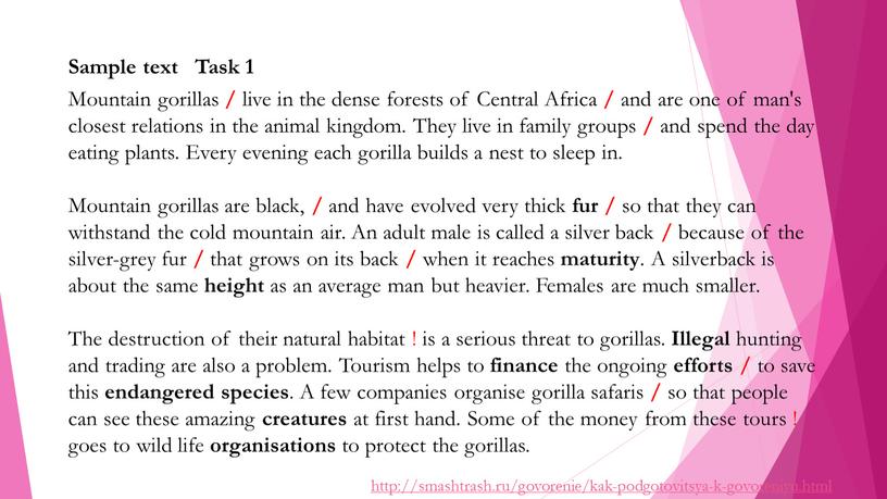 Mountain gorillas / live in the dense forests of