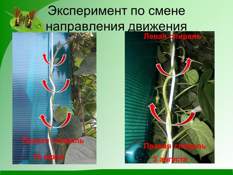 Эксперимент по смене направления движения