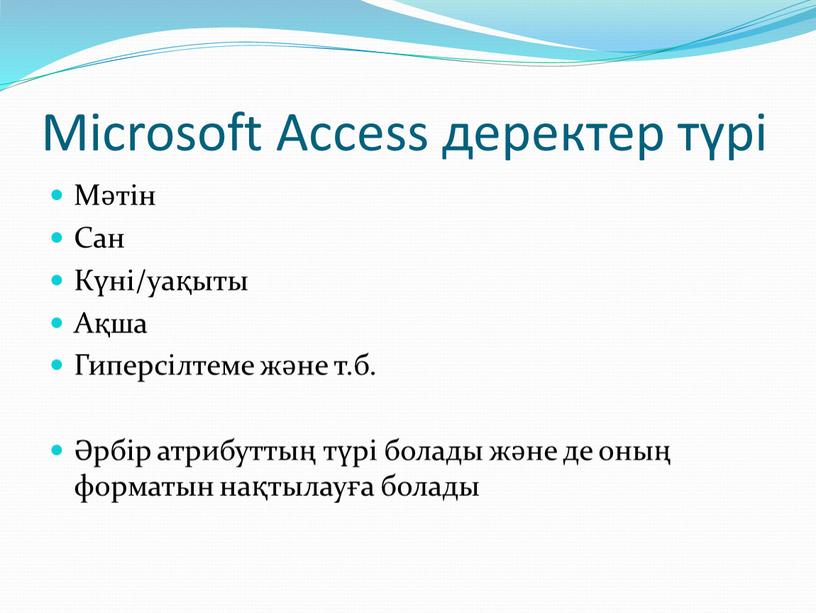 Microsoft Access деректер түрі