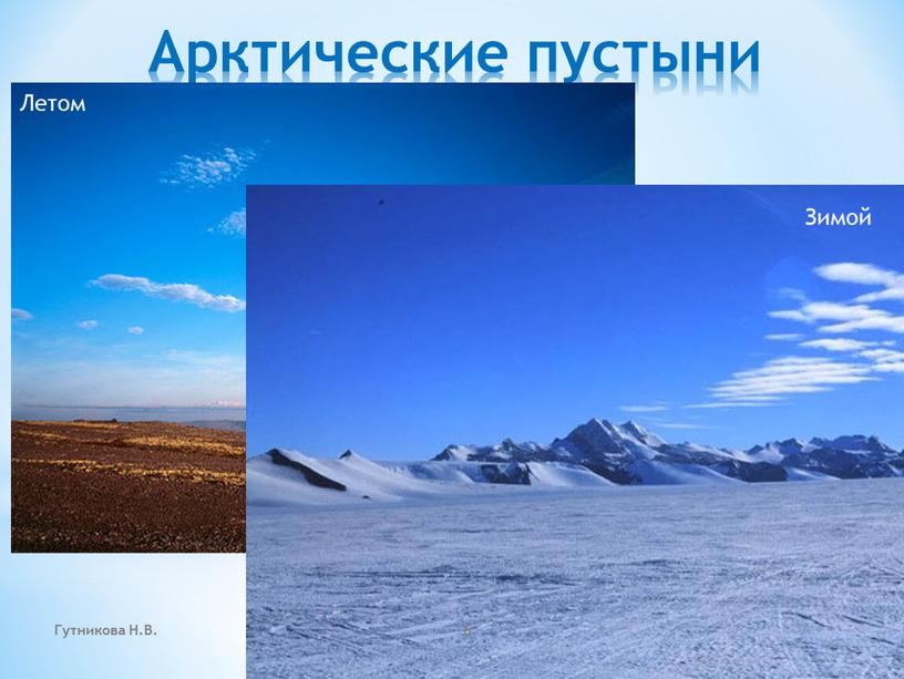 Арктические пустыни Летом Зимой