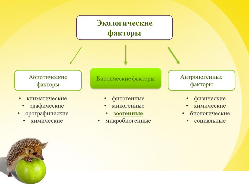 Экологические факторы климатические эдафические орографические химические фитогенные микогенные зоогенные микробиогенные физические химические биологические социальные