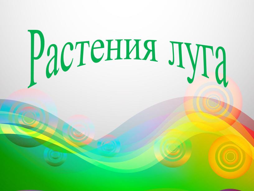 Растения луга