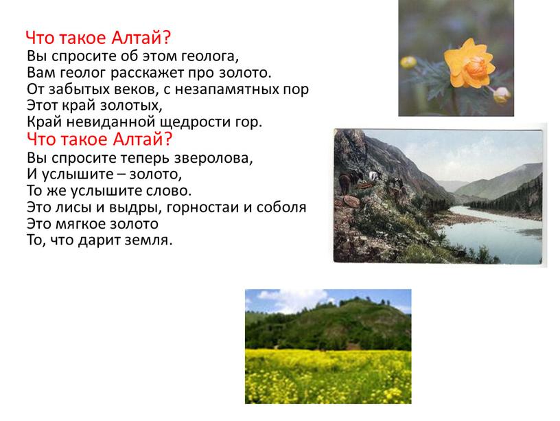 Что такое Алтай? Вы спросите об этом геолога,