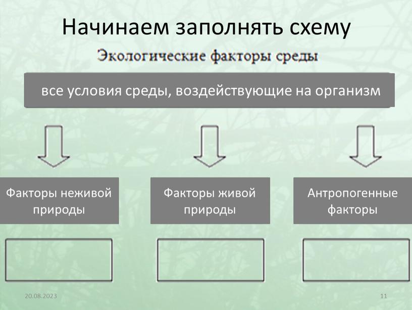 Начинаем заполнять схему 20.08