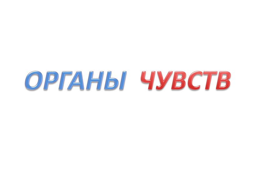 ОРГАНЫ ЧУВСТВ