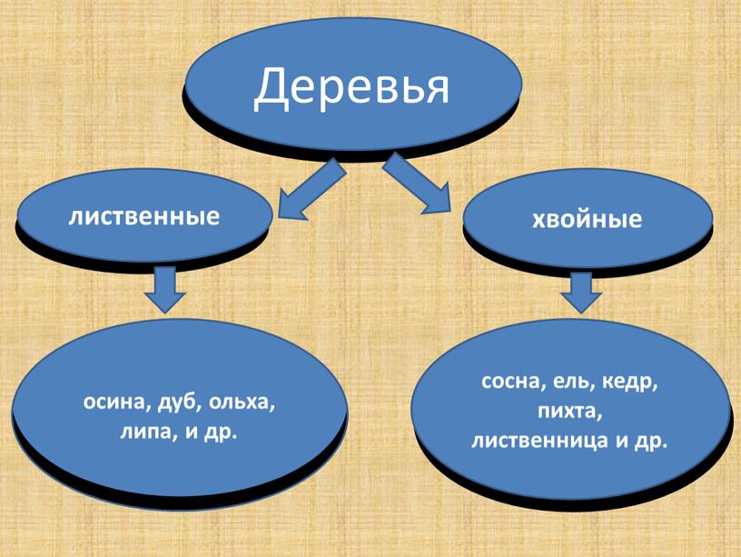 Деревья лиственные хвойные осина, дуб, ольха, липа, и др