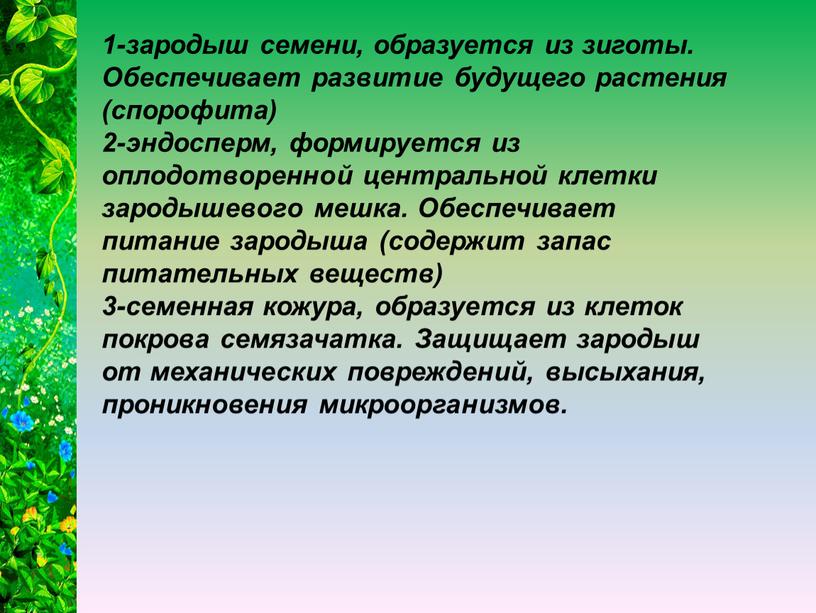 Обеспечивает развитие будущего растения (спорофита) 2-эндосперм, формируется из оплодотворенной центральной клетки зародышевого мешка