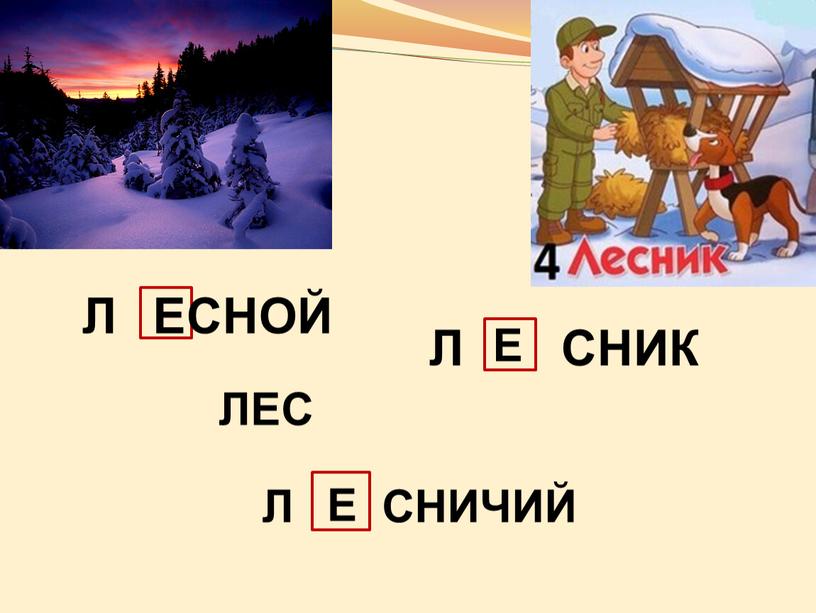 Л СНИК Л СНОЙ Е Е Е ЛЕС