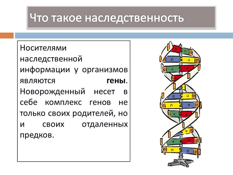 Что такое наследственность Носителями наследственной информации у организмов являются гены