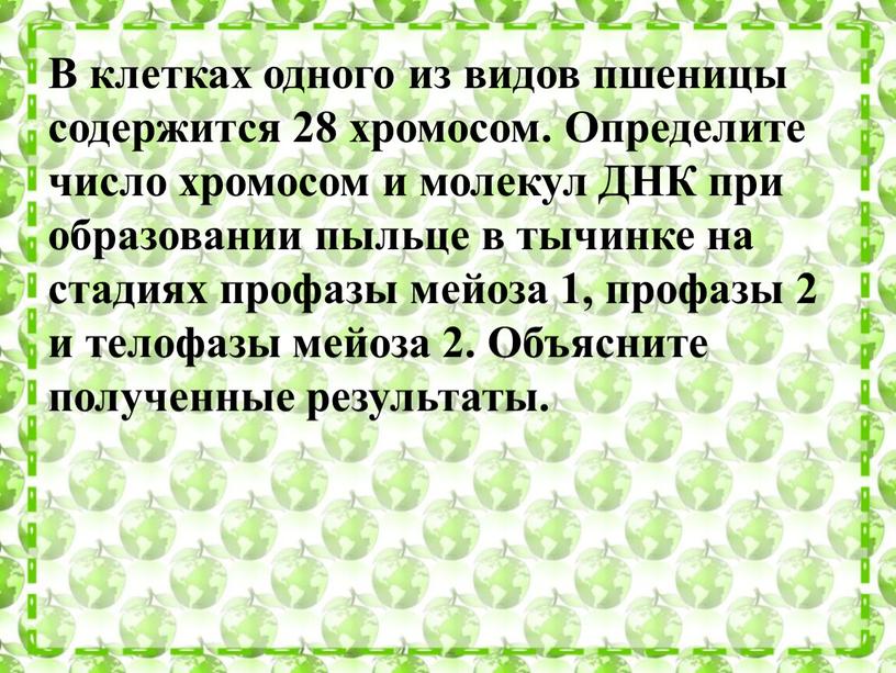 В клетках одного из видов пшеницы содержится 28 хромосом