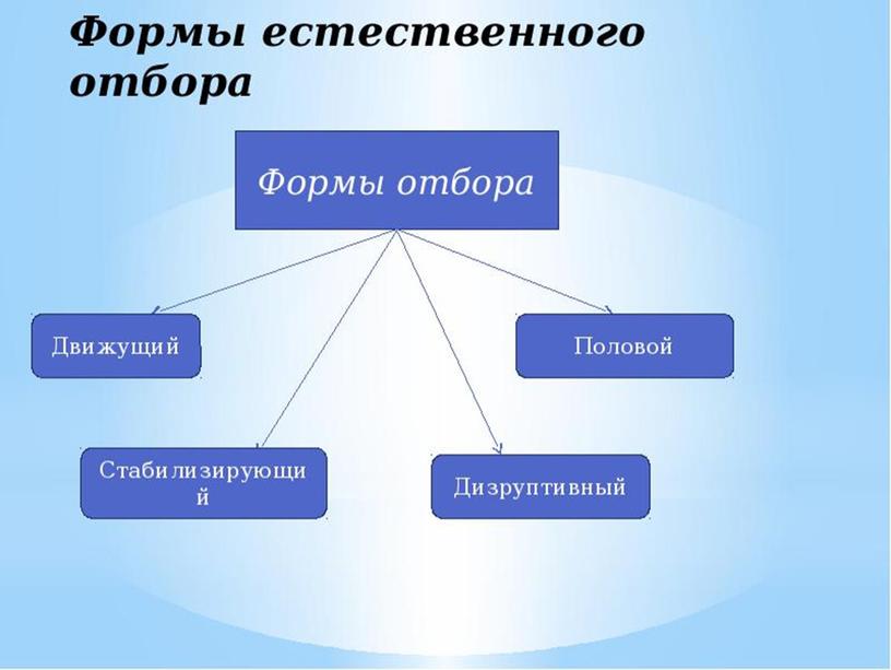 Борьба за существование и естественный отбор