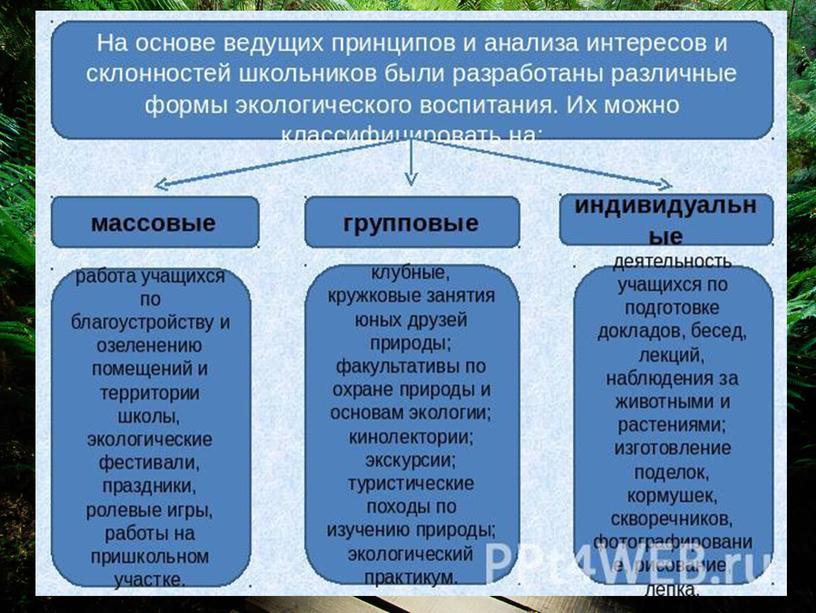 Презентация Аспекты экологического воспитания в начальной  школе