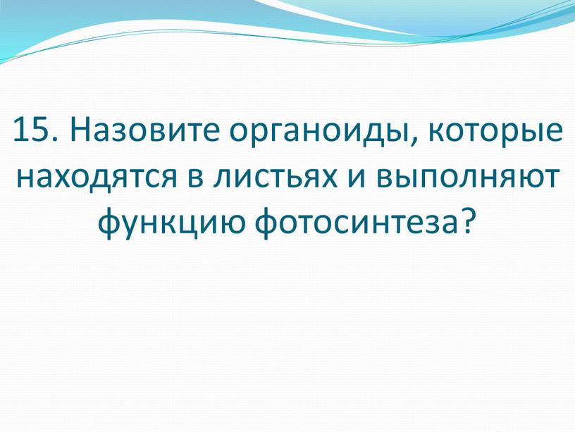 Назовите органоиды, которые находятся в листьях и выполняют функцию фотосинтеза?