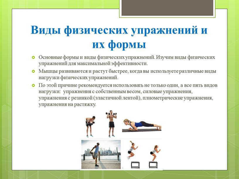 Виды физических упражнений и их формы