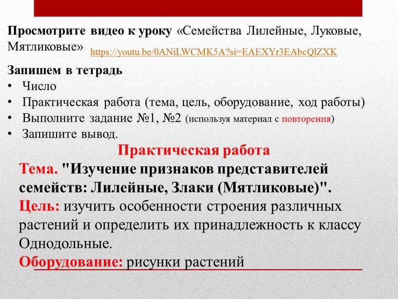 Практическая работа Тема. "Изучение признаков представителей семейств: