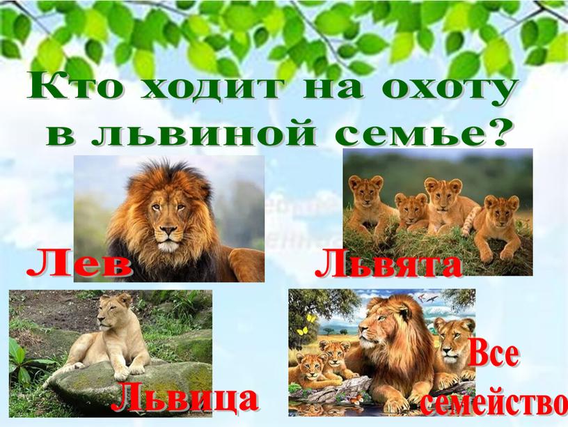 Кто ходит на охоту в львиной семье?