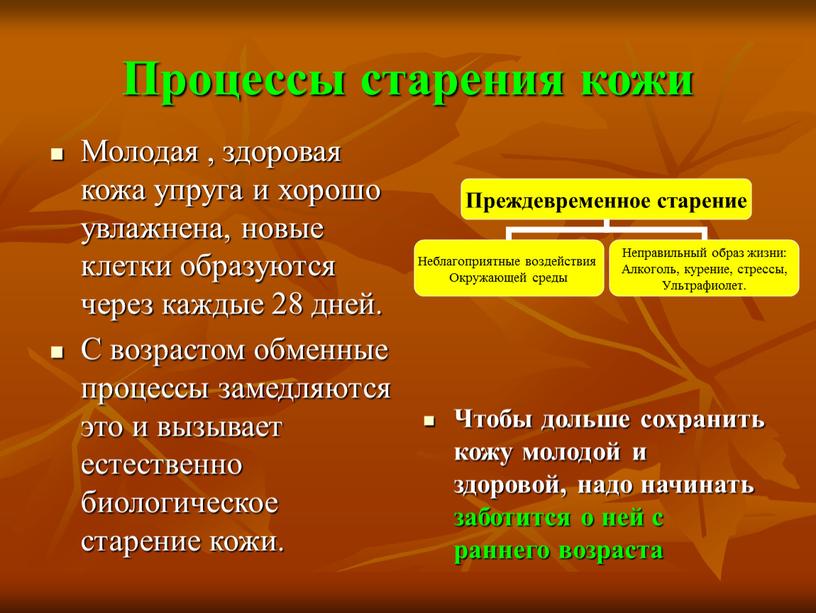 Процессы старения кожи Молодая , здоровая кожа упруга и хорошо увлажнена, новые клетки образуются через каждые 28 дней