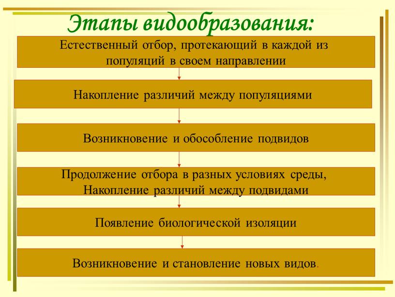 Этапы видообразования: Естественный отбор, протекающий в каждой из популяций в своем направлении